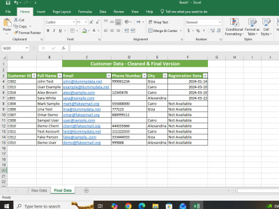 Customer Data Cleaning & Formatting in Excel (Sample Project) | Upwork