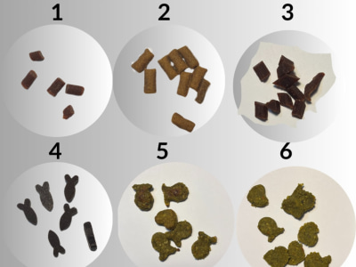 Market-Ready Pet Food or Supplement Formulation (PhD Nutritionist)