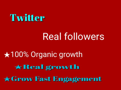 3000+ real Twitter followers Non drop guarantee