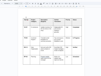 Professional data entry and accurate Excel data organization