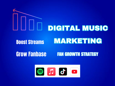 Comprehensive Digital Music Marketing & Fan Growth Strategy