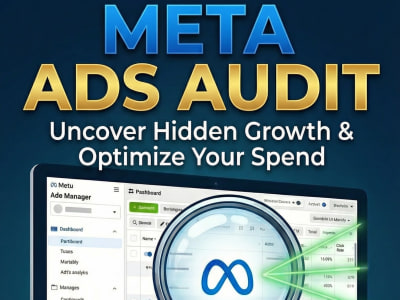 Meta Ads Campaign Audit (Facebook and Instagram Ads)