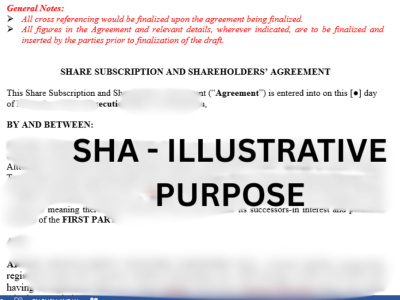 Precise Term Sheet & Shareholders Agreements with Strong Clause Protection
