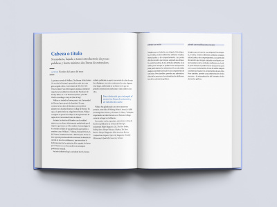 Academic textbooks, guide workbook, and instructional presentation slides