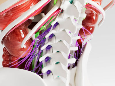A high-end photorealistic 3D Medical Explainer Animation for your project