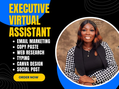 Personal virtual Assistant Executive VA, Administrative Virtual Assistant