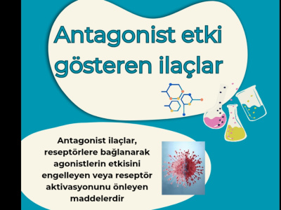 Engaging Health & Lifestyle Blog Articles Written in Clear English