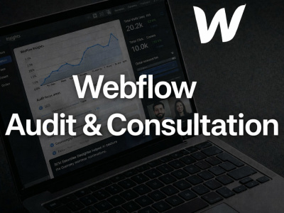 Webflow Audit & Consultation by Webflow Developer