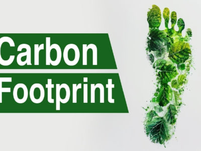 GHG Carbon Footprint of your company (Scope 1, Scope 2 & Scope 3)
