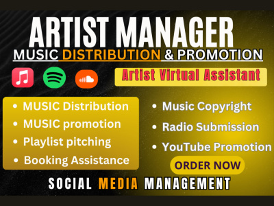 Pro music manager, music distribution, music promotion, playlist submission