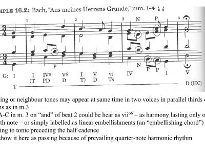 Harmony, Musical Forms and Polyphony – Structured Online Lessons