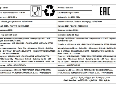 Accurate translations in Arabic, English,or Russian,delivered in any format