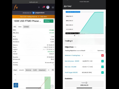 Expert FTMO Trader| FTMO Challenge Pass| FTMO EA Trading| FTMO Robot