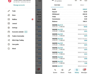 Provide professional forex account management and risk management support