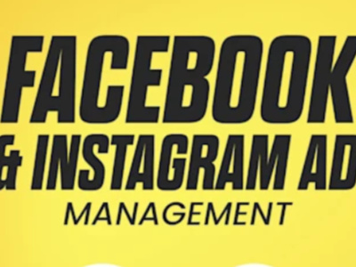 Set up facebook and instagram ads for leads and sales