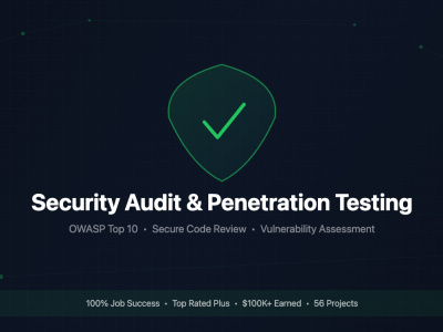 A security audit of your web app with OWASP testing and a fix report