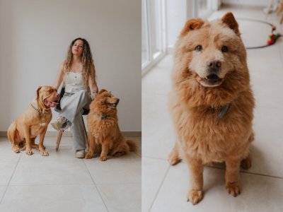 Pet Photography Mexico City & Puebla