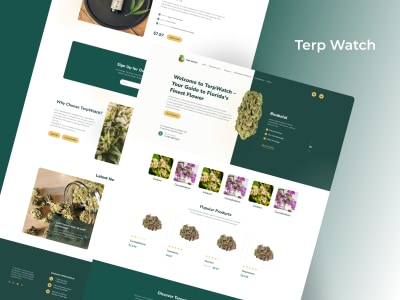 Wix Website | Wix Design & Development | Wix Redesign