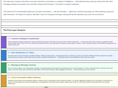 You will get A Revenue Leak Analysis of Your Sales Conversations With Specific Fixes