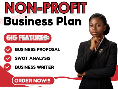 A professional nonprofit business plan for funding or grants