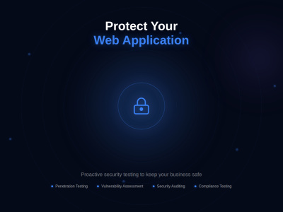 Professional Web Application Penetration Testing following OWASP TOP 10