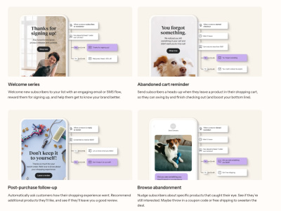Klaviyo Email Marketing Plan: Klaviyo Email & SMS Campaigns | Klaviyo Flows