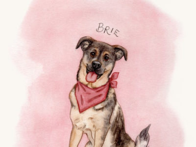 A traditionally hand-painted watercolour pet portrait