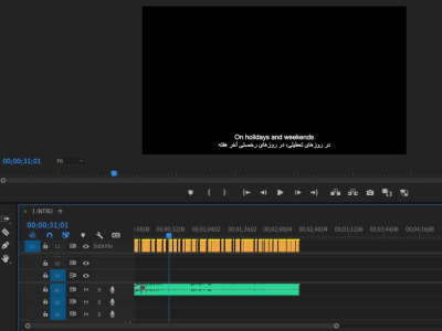 Bilingual Subtitles & Captions (Dari, Persian & English) | SRT Included