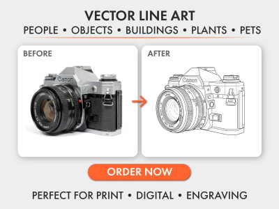 Vector Illustrator | Vector Line Art from any Image