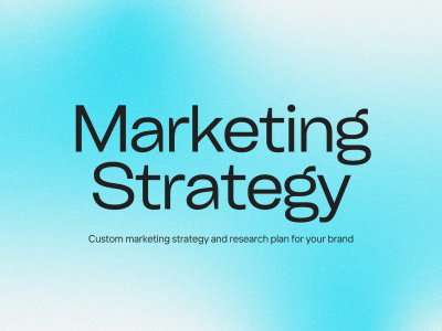 You will get a custom marketing strategy and research plan for your brand