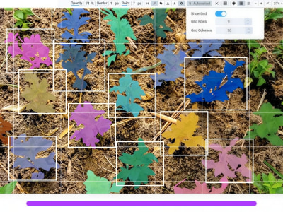 Image Annotation, Custom Data Annotation, Segmentation & Image Labeling