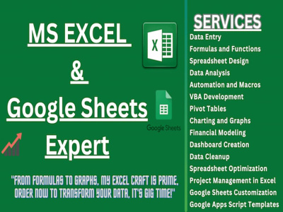 Microsoft excel formula ,vba,macro and google sheets charts & graph