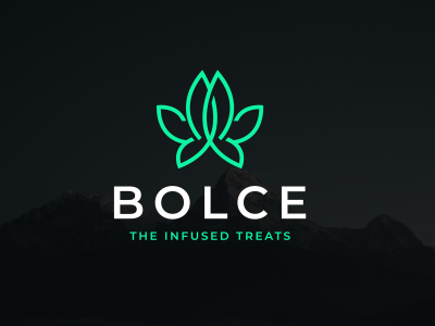 Logo, Logo Design, Logo Designer, Logo Design & Branding Expert