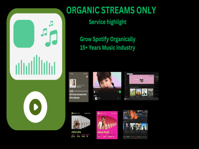 I will grow your Spotify streams organically with proven music strategies