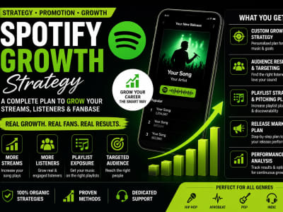 A Spotify growth strategy and music marketing campaign for your release
