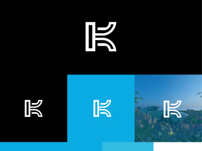 3 unique logo concepts with unlimited revisions