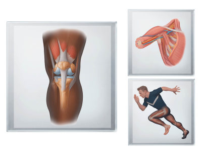 Detailed scientific illustrations, tailored to diverse audiences