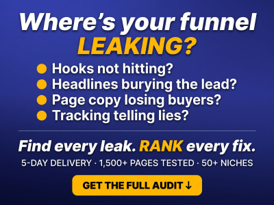 Conversion audit of your ads + landing page + copy + tracking