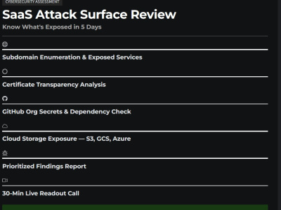 SaaS Attack Surface Review - Know What's Exposed in 3 Days