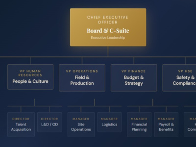 HR Audit (policy & structure review)