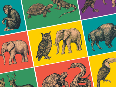 Custom vintage engraving and retro illustrations