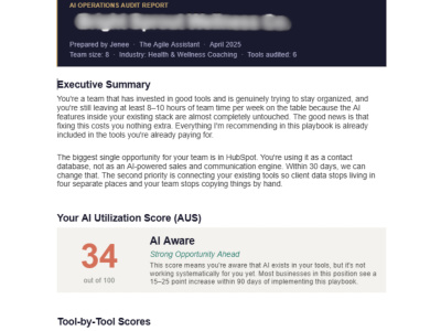 AI Operations Audit & Custom AI Stacking Playbook