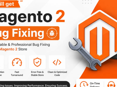 Magento 2 Bug Fixing