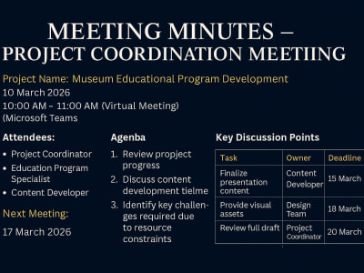 Professional meeting minutes and structured reports (PMO style)