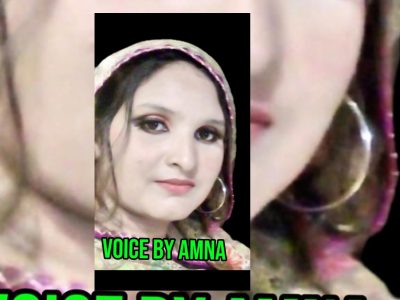 Professional Urdu & Punjabi Voiceover in 24 Hours