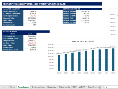 A professional financial model, DCF valuation, and forecasting model