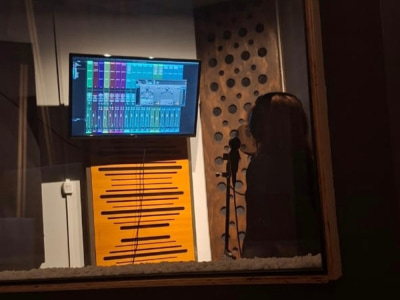 A professional songwriter and lyricist for your project