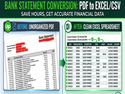 A professional bank statement PDF to Excel conversion or CSV.