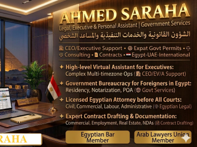 🏢 CEO / Executive Virtual Assistant &  ⚖️ Legal & Government Services