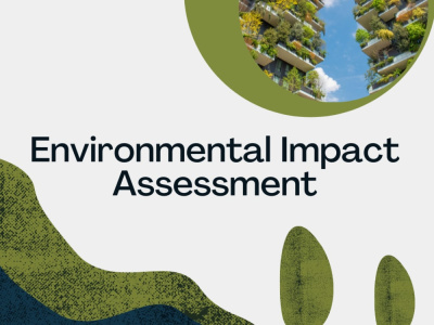 A professional Environmental Impact Assessment and mitigation plan
